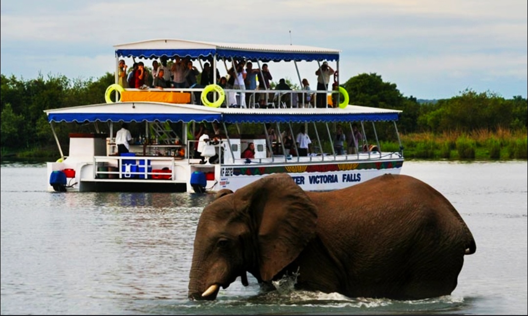 Victoria Falls & Zambezi Sunset Cruise